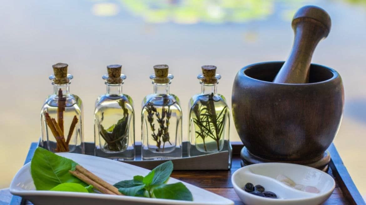 A group of bottles with herbs in them