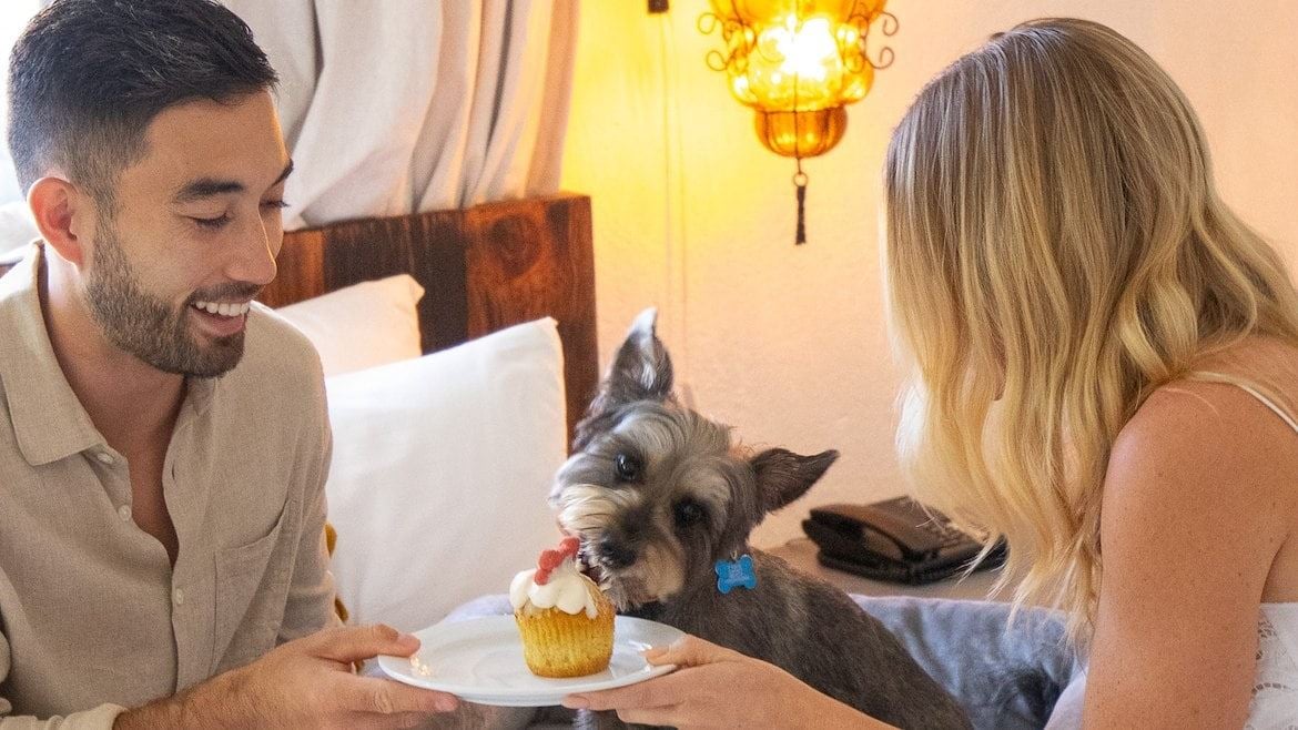 A man and woman sitting on a bed with a dog