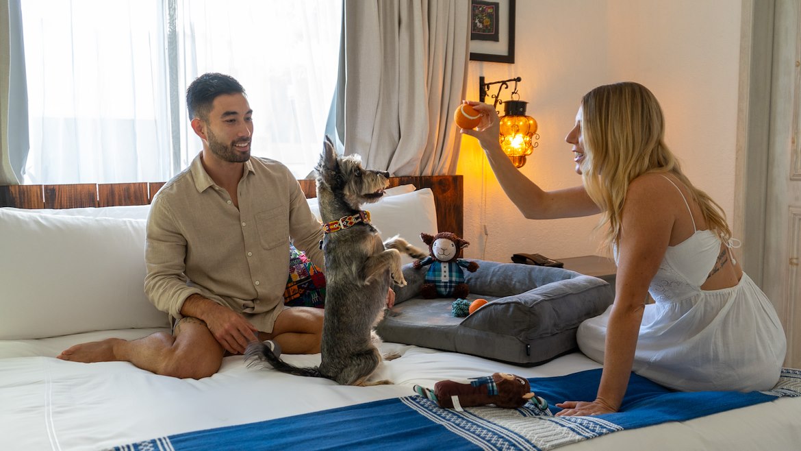 Visita un hotel pet-friendly en Los Cabos con tu mejor amigo 