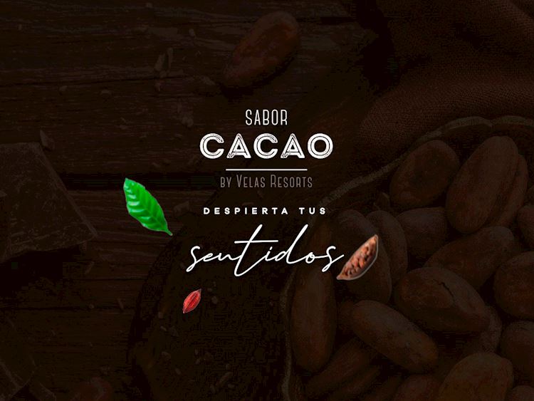 Sabor cacao