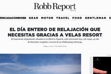 Robb Report Wellnessing 