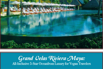 All- Inclusive 5-Star Oceanfront Luxury for Vegan Travelers