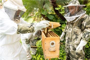 Taller de crayones de cera de abeja para niños fusiona sostenibilidad y creatividad en Grand Velas Riviera Nayarit