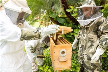 Taller de crayones de cera de abeja para niños fusiona sostenibilidad y creatividad en Grand Velas Riviera Nayarit