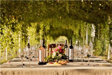 Grand Velas Boutique Los Cabos lleva sus experiencias sensoriales a una joya oculta de la vinicultura en Coahuila en colaboración con Casa Madero
