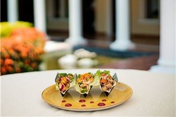 Terapia del Taco: Casa Velas revela nueva amenidad para el bienestar y la relajación