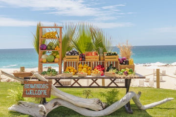 De la granja a la playa: nuevo mercado orgánico que abrirá este otoño en Mar del Cabo
