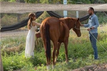 Exclusiva experiencia culinaria “Kitchen to the Farm” en Mar del Cabo