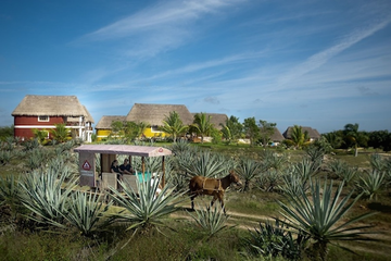 Viaja en un helicóptero privado a Mérida en la nueva experiencia cultural “Henequén” de Grand Velas Rivera Maya