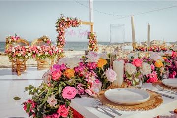 Increíble experiencia de bodas en Mar del Cabo para disfrutar la naturaleza de Baja California