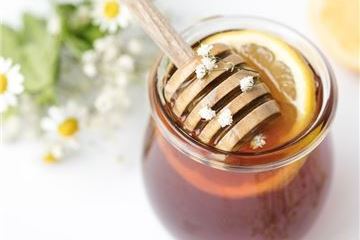 Grand Velas Riviera Nayarit Lanza su Programa Guardianes de la Vida Silvestre para el Cuidado de las Abejas, que incluye Talleres Educativos y Comercio Sostenible