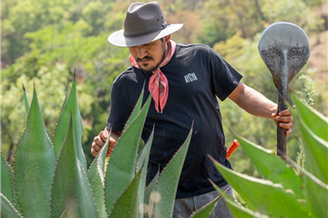 Nueva experiencia en Casa Velas te invita a explorar la raicilla en el corazón de Jalisco