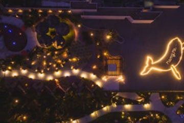 Propuesta con Ballena Jorobada: Grand Velas Los Cabos lanza una innovadora propuesta de matrimonio